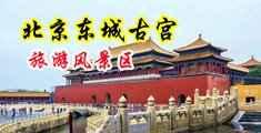 逼逼鸡巴av中国北京-东城古宫旅游风景区